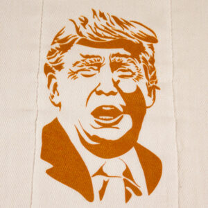 Dump on Trump - Cloth Diaper